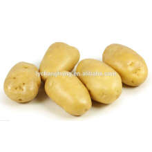 2014 best quality Chinese fresh potato